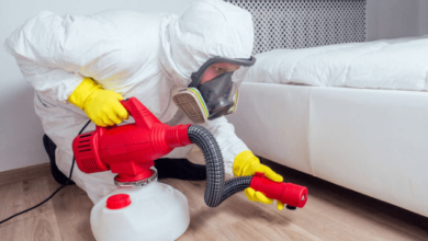 Exterminate Bed Bugs