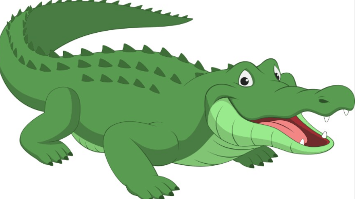 Animated:3cc71a36ife= Crocodile