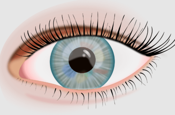 Transparent:7eamid7smw0= Eye Png