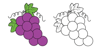 Outline:7jhstzy8zze= Grapes