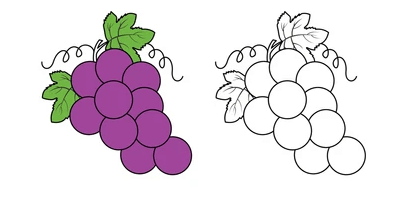 Outline:7jhstzy8zze= Grapes