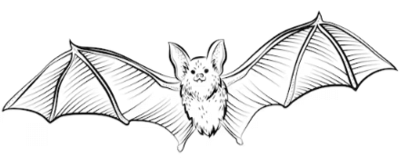 Outline:9uwqeznafki= Bat Template