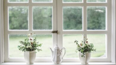 Everything You Need to Know About Casement Windows