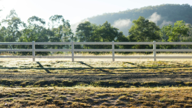 Do You Need Planning Permission for Post and Rail Fencing in Australia?