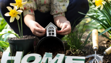Essential Spring Home Maintenance Tips You Can’t Ignore