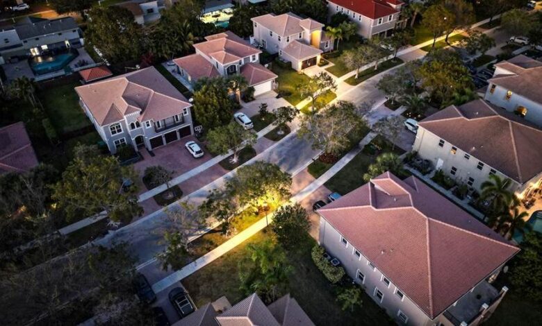 Need Residential Mold Remediation in South Florida? 5 Tips to Hire the Best Company