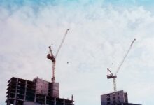 industry growth and insights