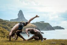 market growth and analysis