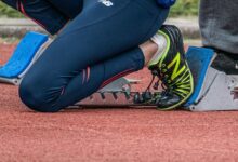 stellar edge start progress