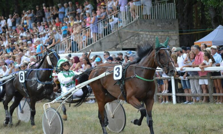 stellar flow start 8668122890