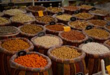 trailblazing horizon drives innovation