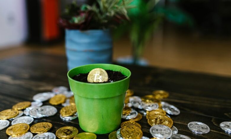 visionary horizon unlocking market potential