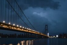 caller insight bridge start