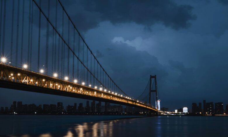 caller insight bridge start