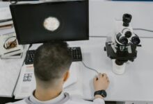 online search discovery guide