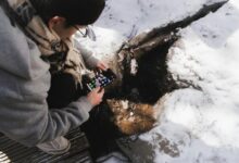 phone unlocking trusted contact research call