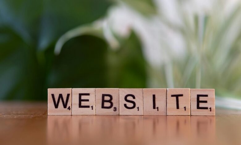 website info hub adventuretwo net domain insights