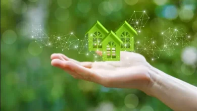 Building a Greener Home Starts with Better Insulation