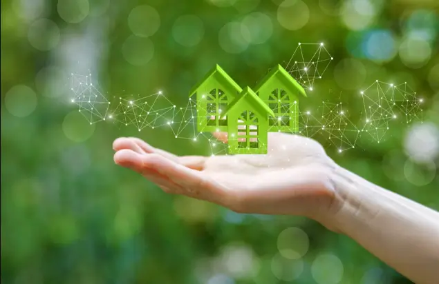 Building a Greener Home Starts with Better Insulation