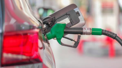 Car Performance and Reliability: How to Balance Power, Safety, and Fuel Economy