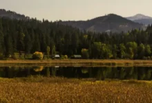 NAEGELI Deposition & Trial and the Reach of Coeur d'Alene Across North Idaho