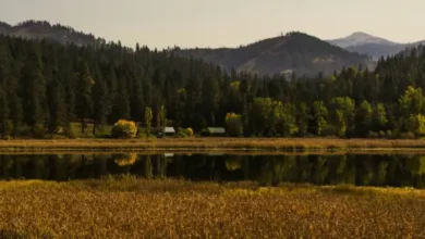 NAEGELI Deposition & Trial and the Reach of Coeur d'Alene Across North Idaho