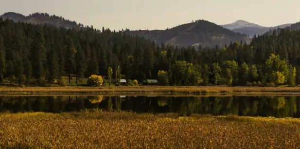 NAEGELI Deposition & Trial and the Reach of Coeur d'Alene Across North Idaho