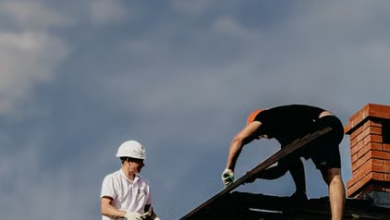 How Professional Roofing Upgrades Improve Energy Efficiency Throughout the Year